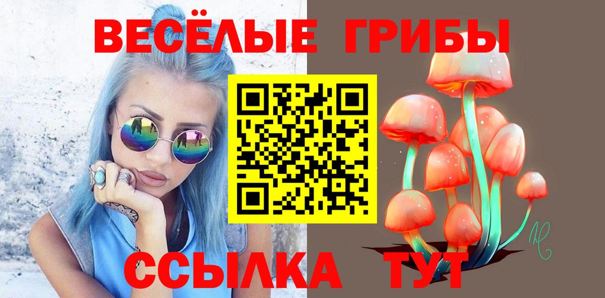 Псилоцибиновые грибы Cubensis  Псилоцибиновые грибы Psilocybine cubensis  Бирск  Вход с VPN 